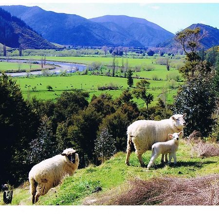 דירות האבלוק Pelorus Heights מראה חיצוני תמונה